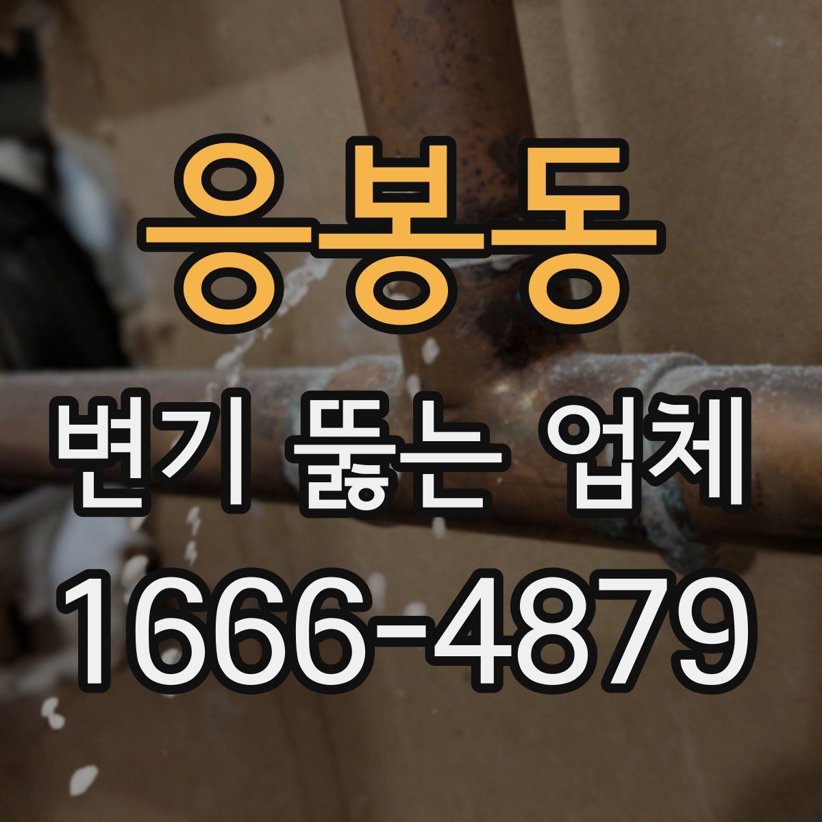 응봉동 변기 뚫는 업체