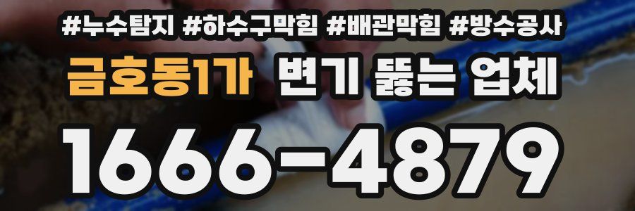 금호동1가 변기 뚫는 업체