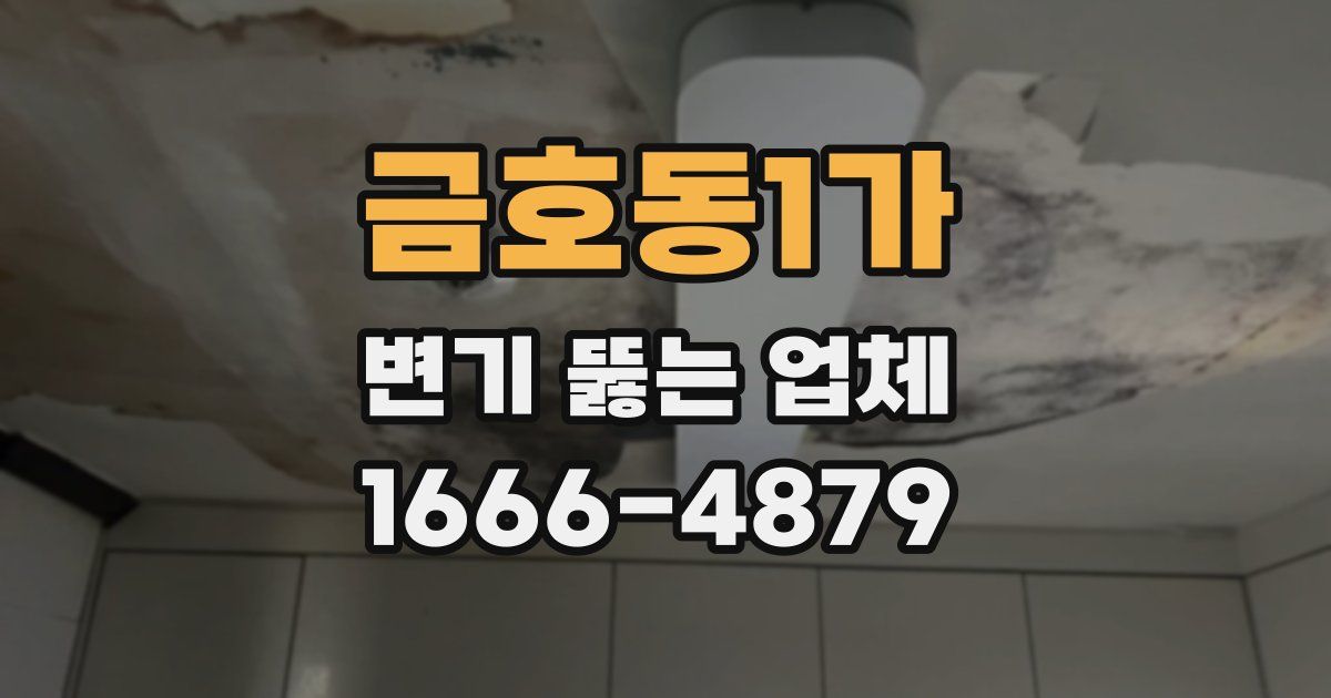 금호동1가 변기 뚫는 업체