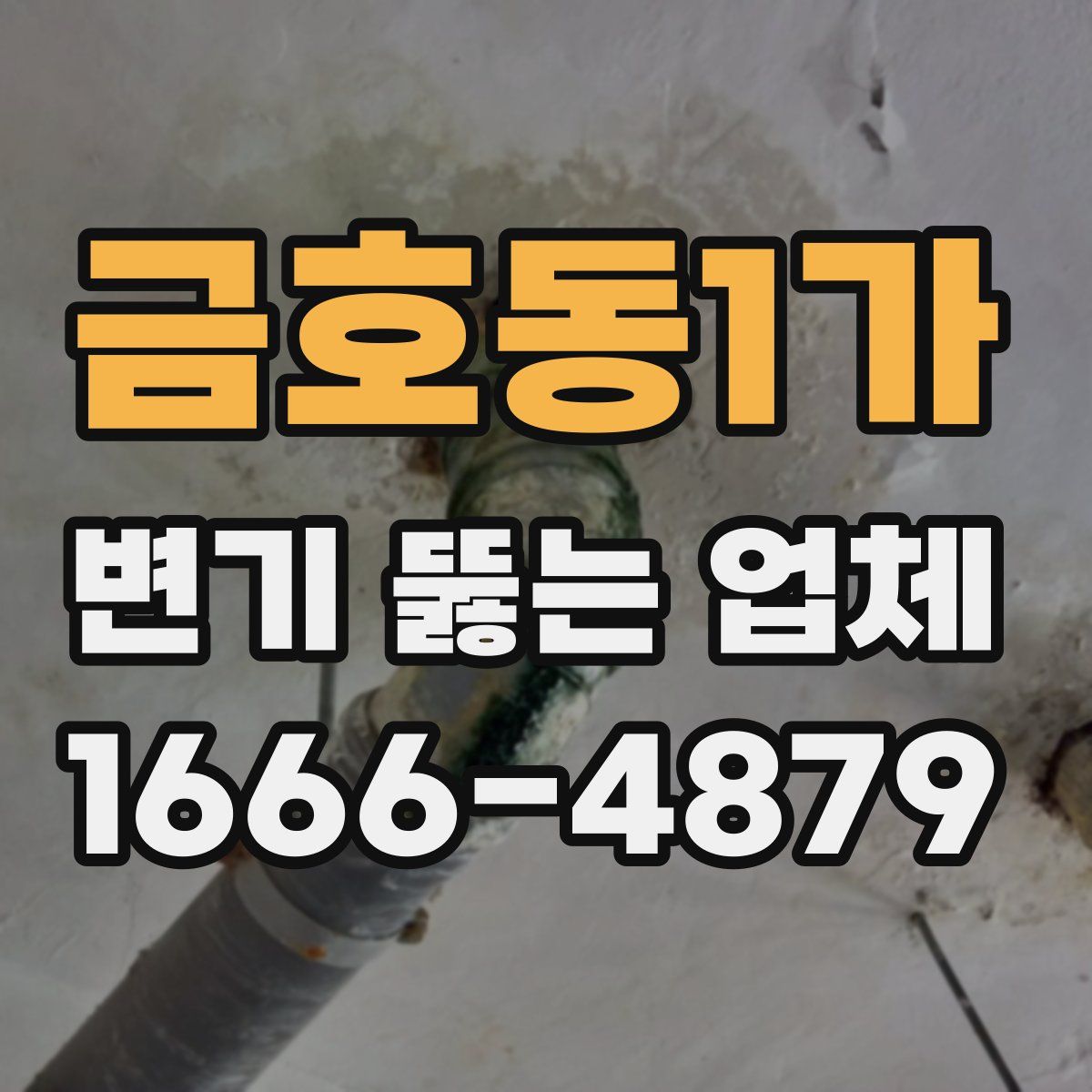 금호동1가 변기 뚫는 업체