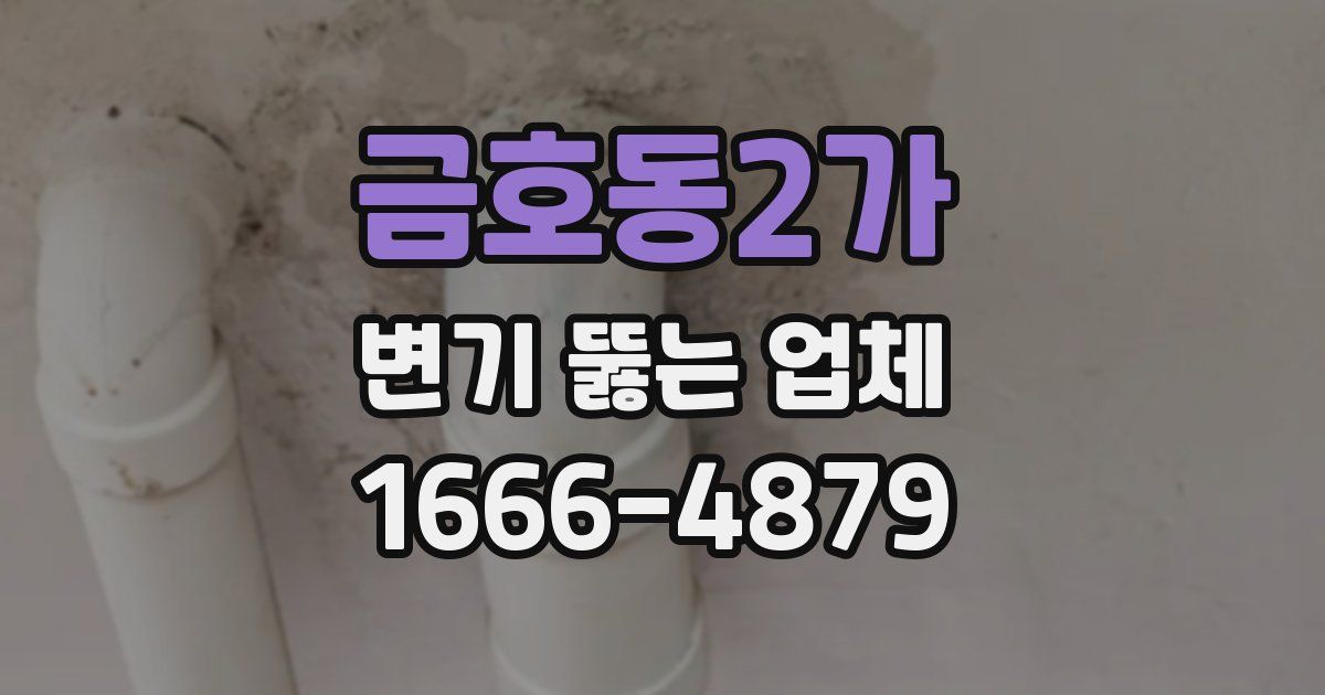 금호동2가 변기 뚫는 업체