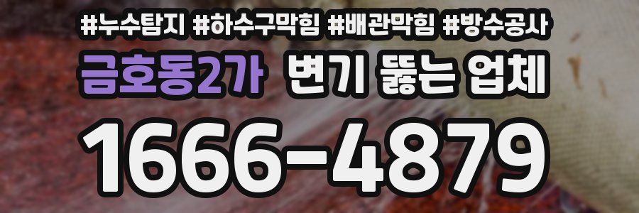 금호동2가 변기 뚫는 업체