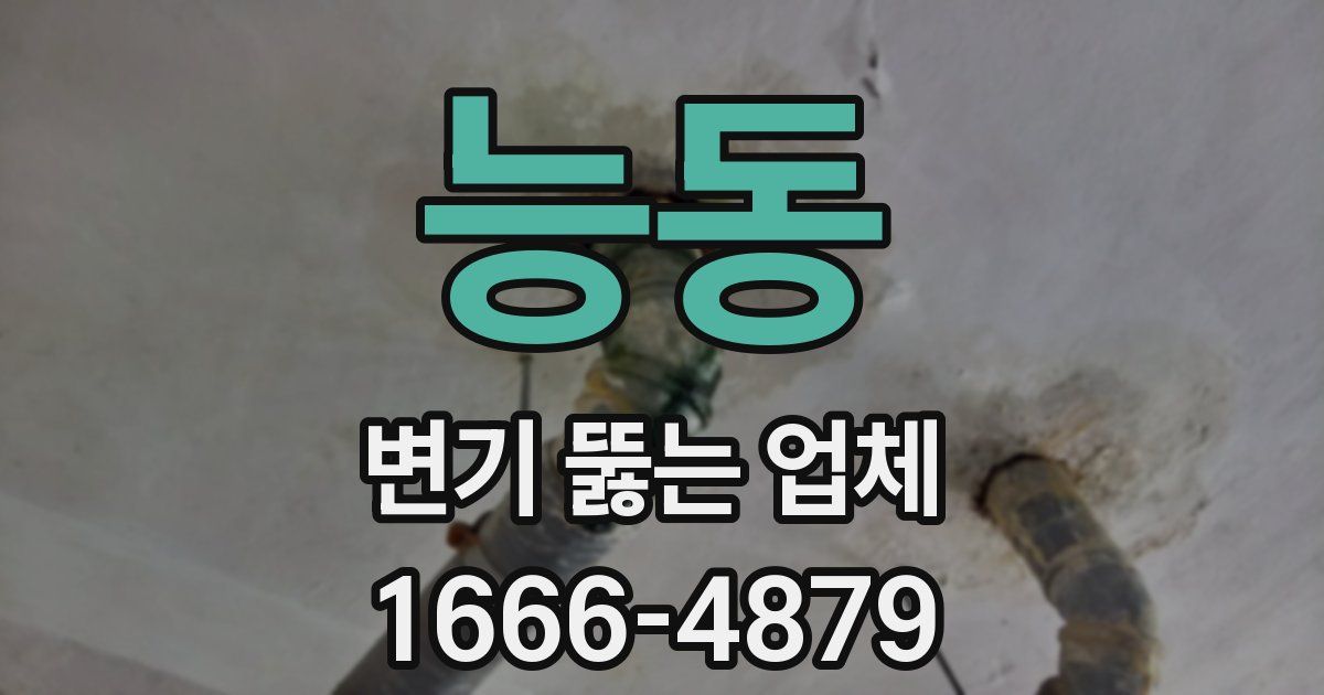 능동 변기 뚫는 업체