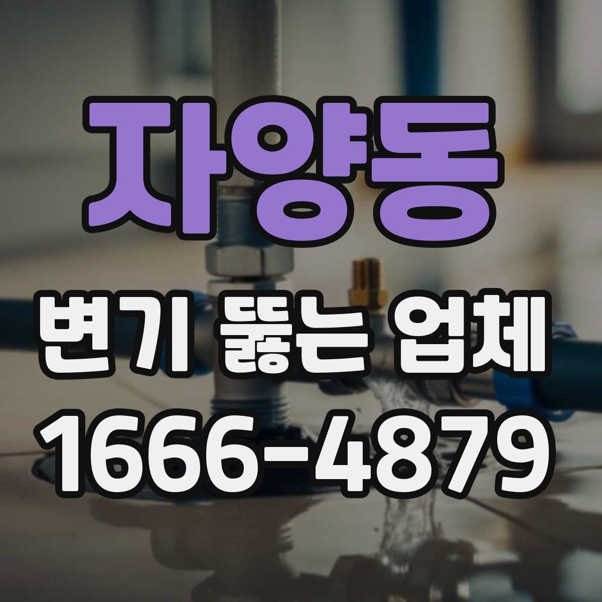 자양동 변기 뚫는 업체
