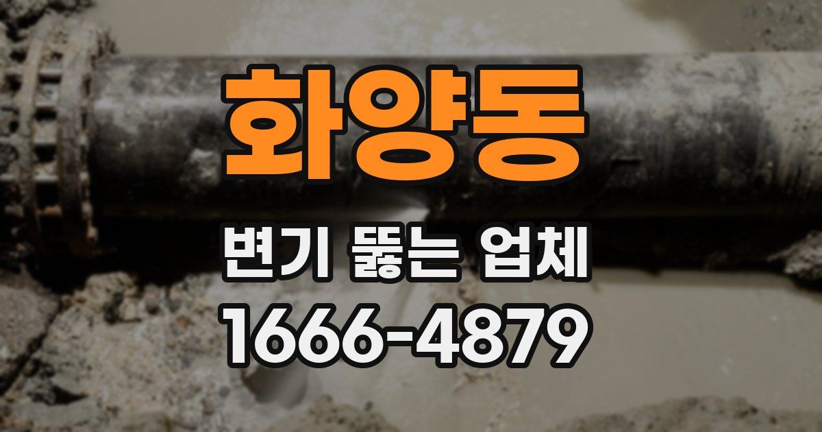 화양동 변기 뚫는 업체