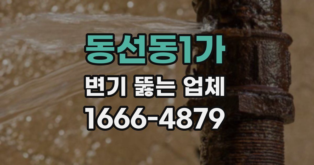 동선동1가 변기 뚫는 업체