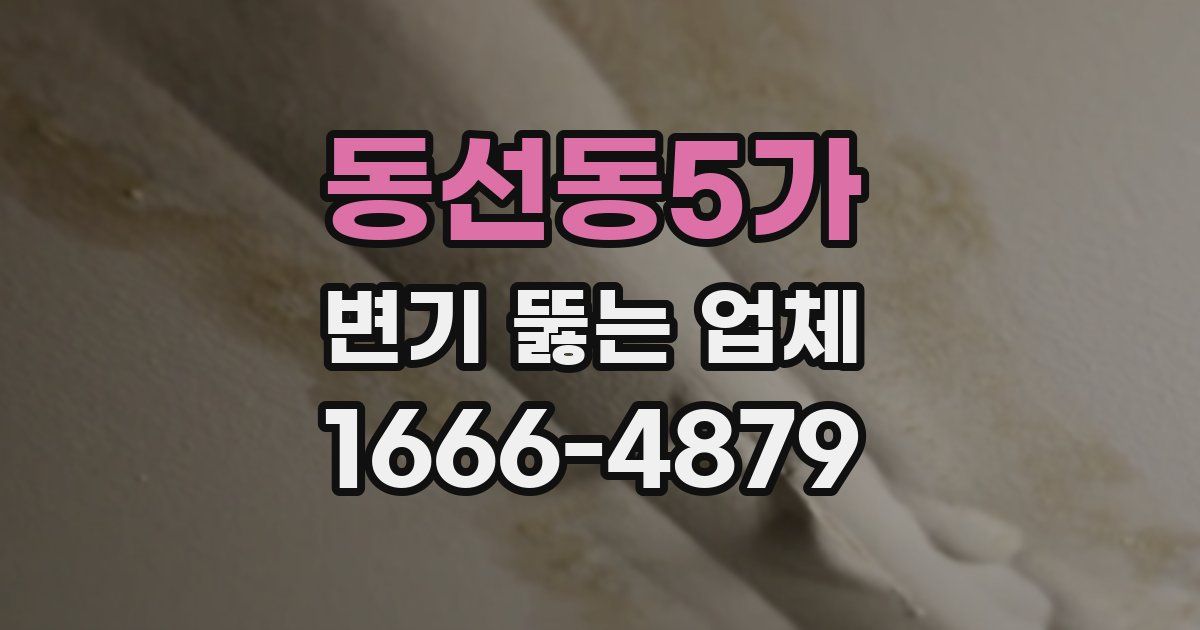 동선동5가 변기 뚫는 업체