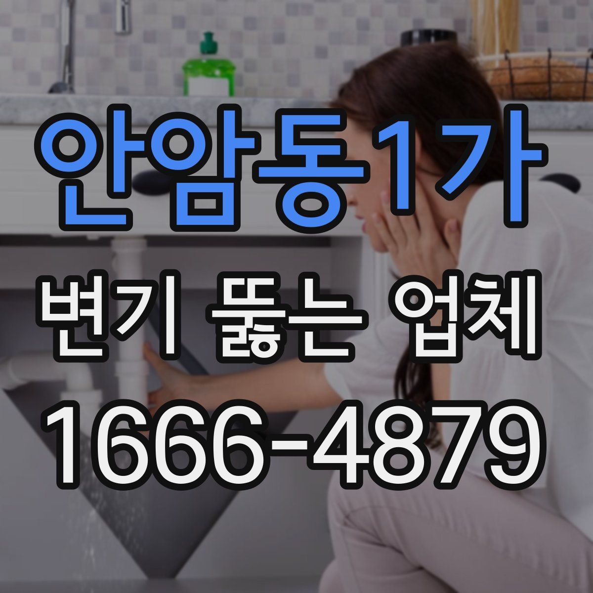 안암동1가 변기 뚫는 업체