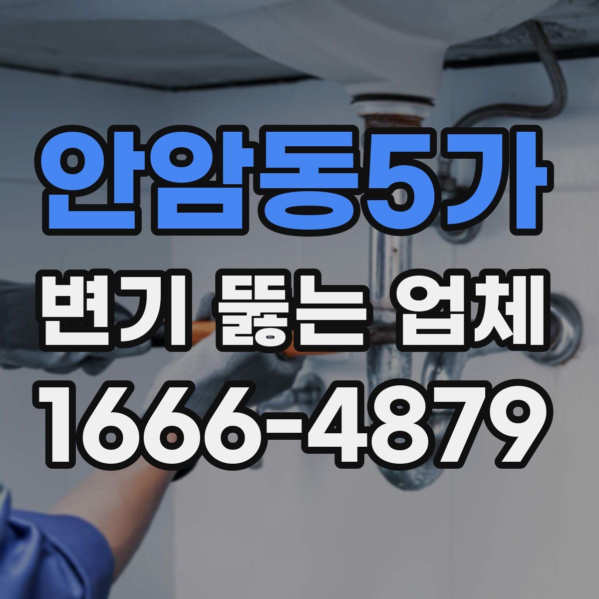 안암동5가 변기 뚫는 업체