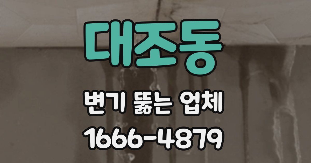대조동 변기 뚫는 업체