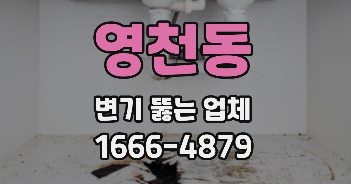 영천동 변기 뚫는 업체