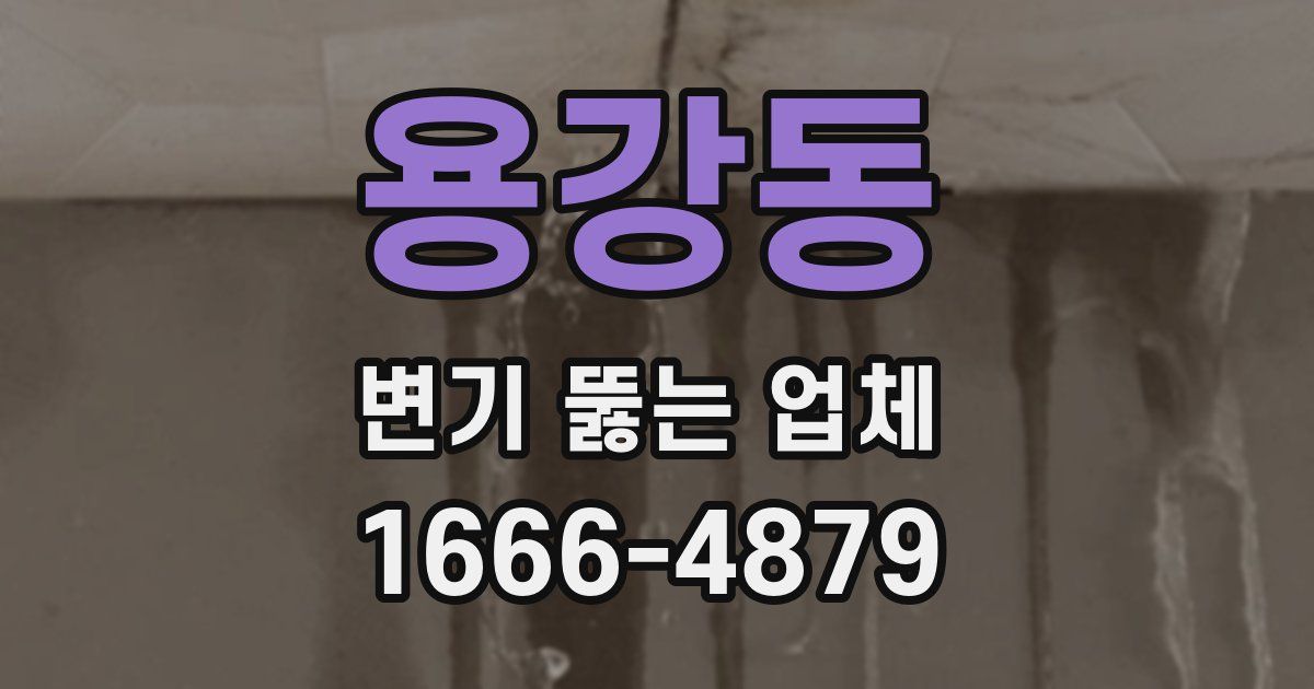 용강동 변기 뚫는 업체