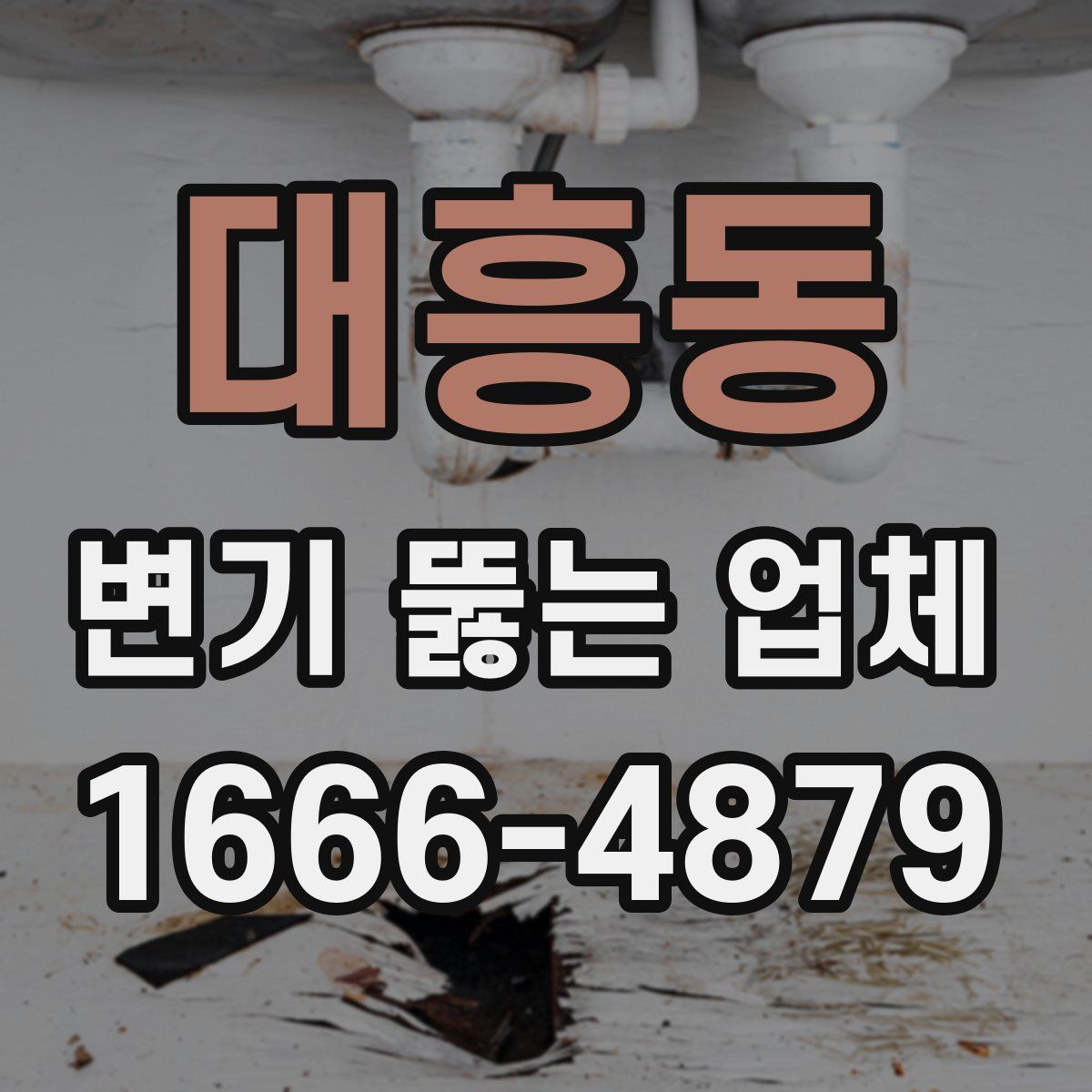 대흥동 변기 뚫는 업체
