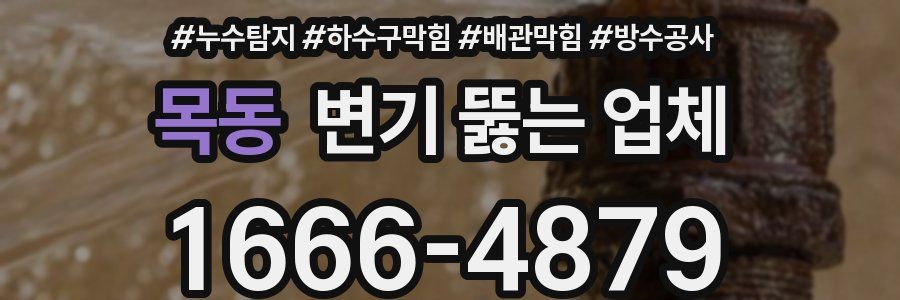 목동 변기 뚫는 업체