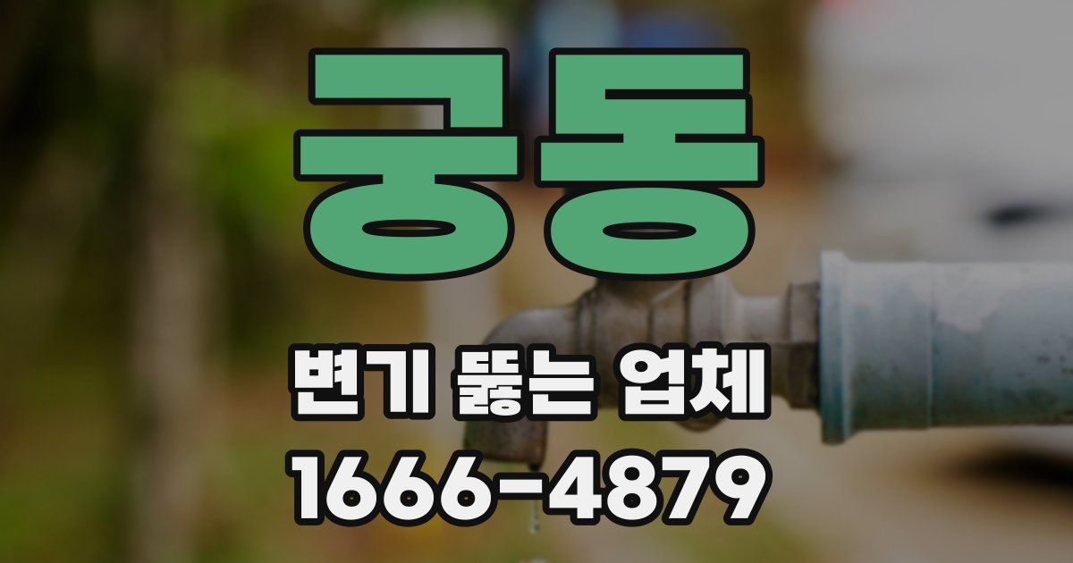 궁동 변기 뚫는 업체