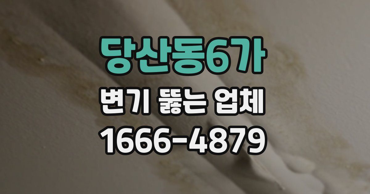 당산동6가 변기 뚫는 업체