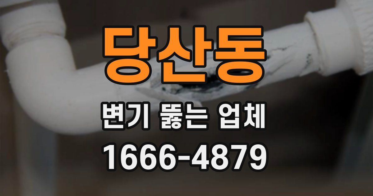 당산동 변기 뚫는 업체