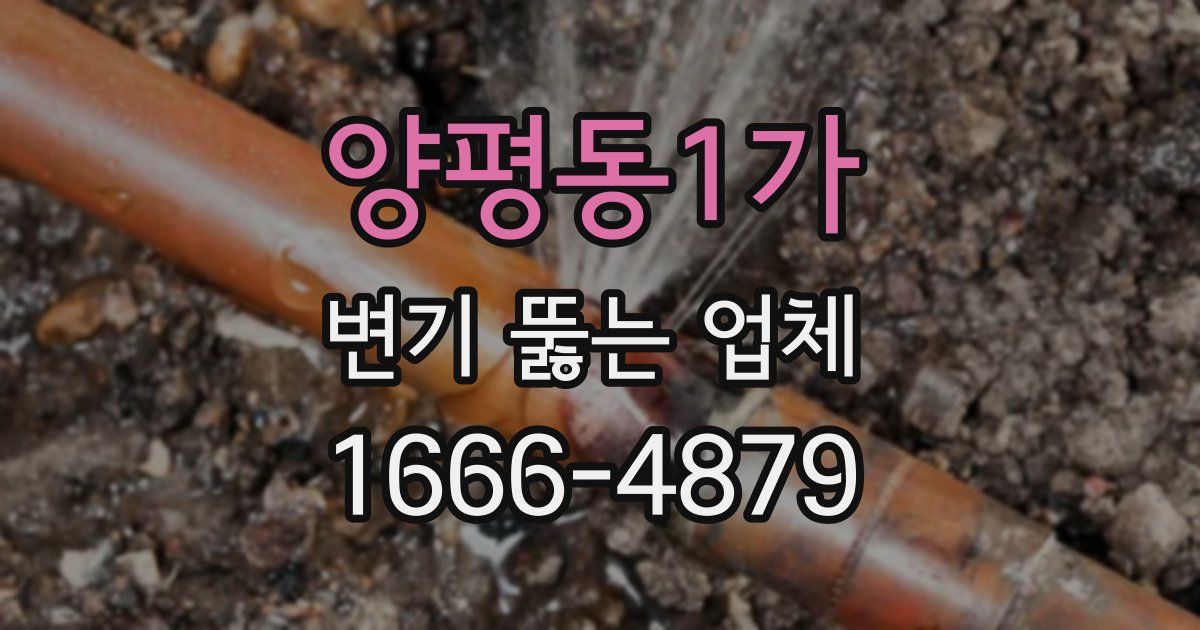 양평동1가 변기 뚫는 업체