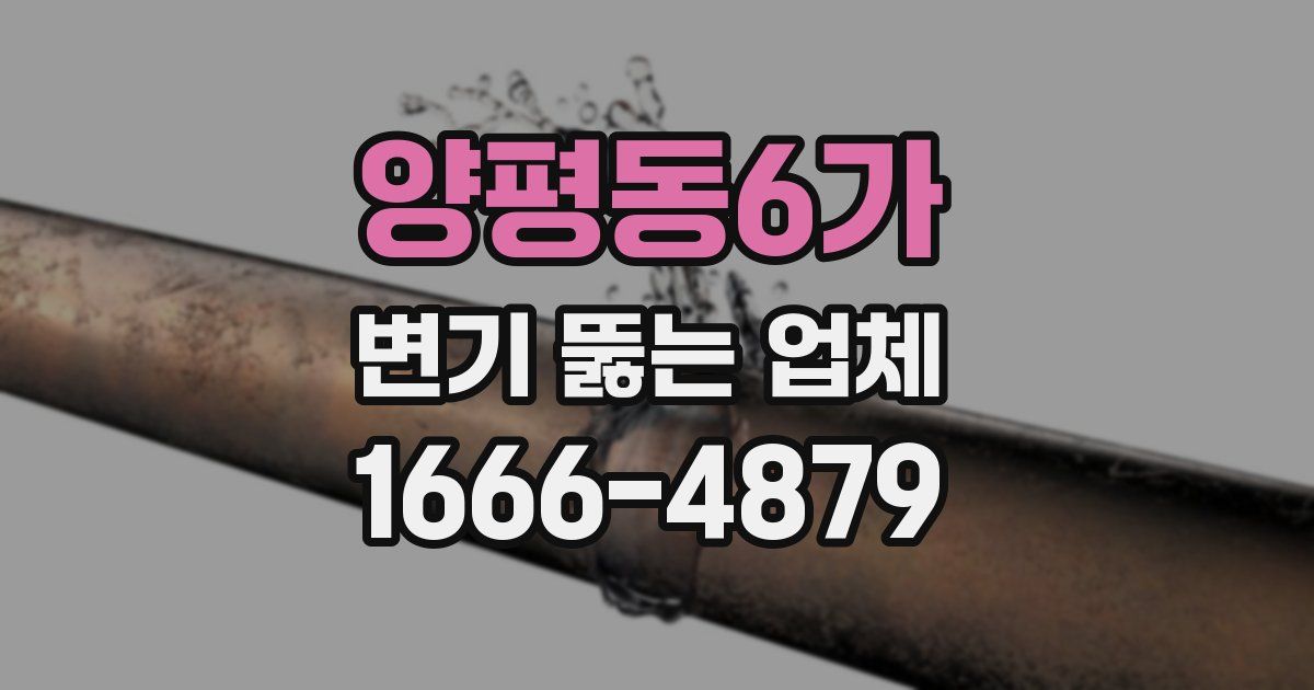 양평동6가 변기 뚫는 업체