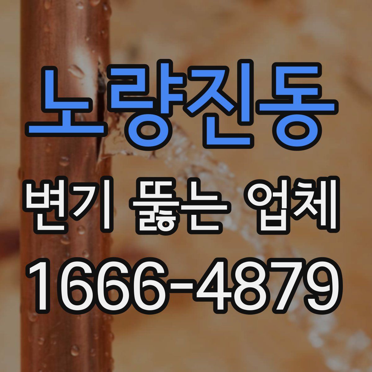 노량진동 변기 뚫는 업체
