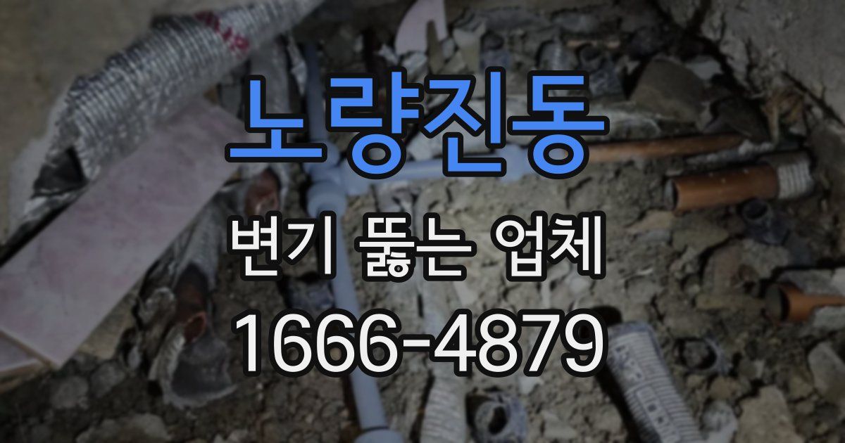 노량진동 변기 뚫는 업체