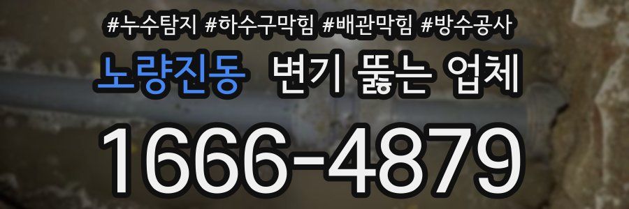노량진동 변기 뚫는 업체