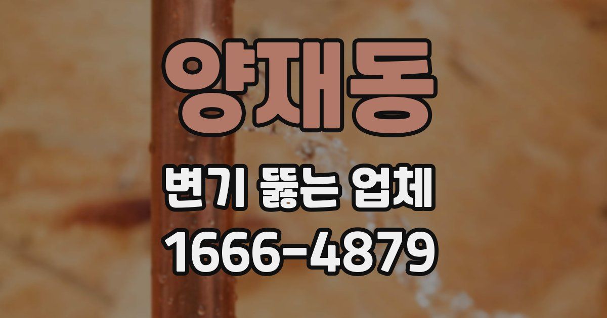 양재동 변기 뚫는 업체
