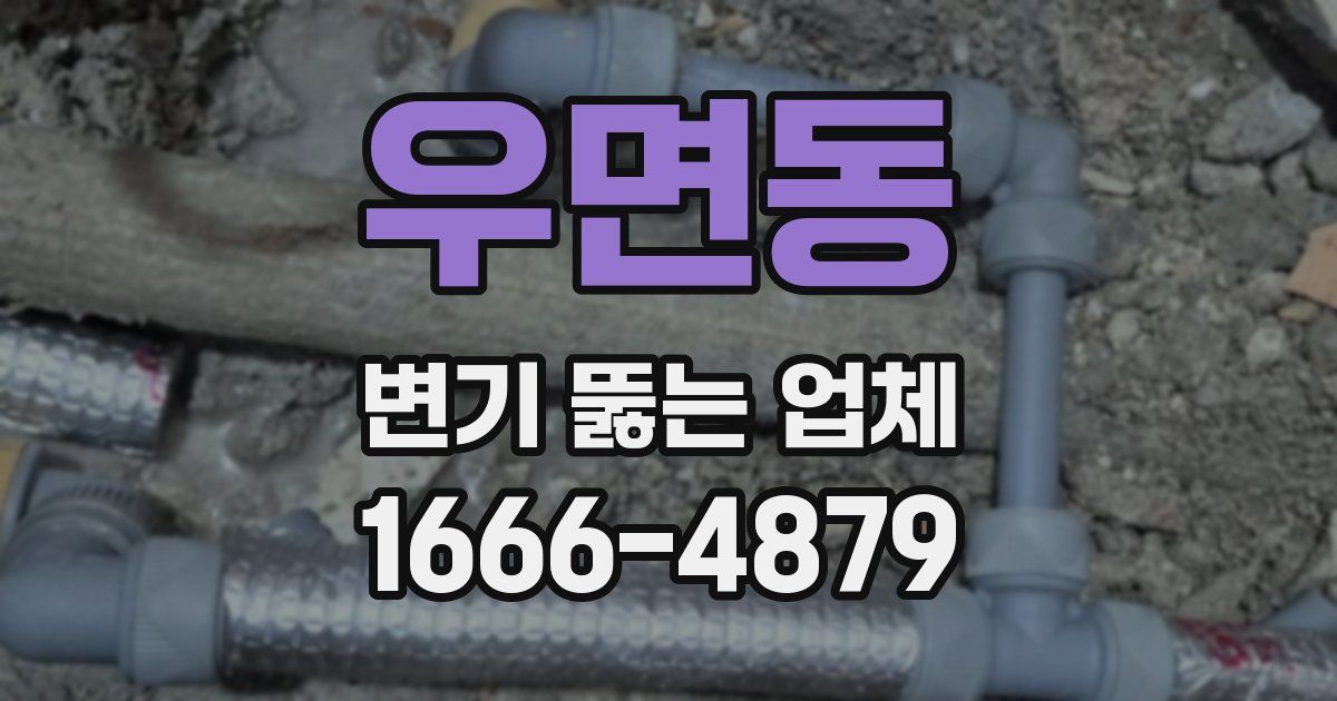 우면동 변기 뚫는 업체