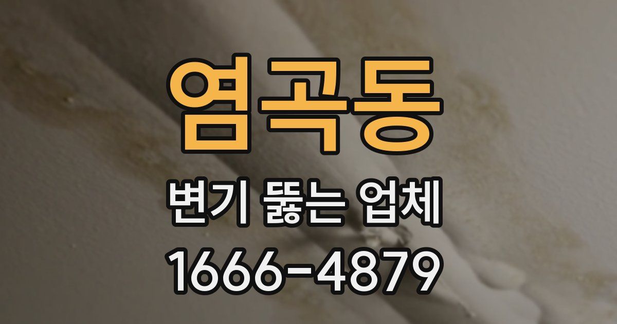 염곡동 변기 뚫는 업체