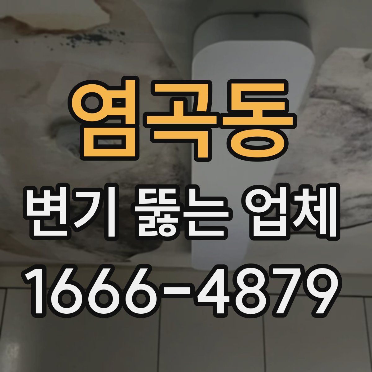 염곡동 변기 뚫는 업체