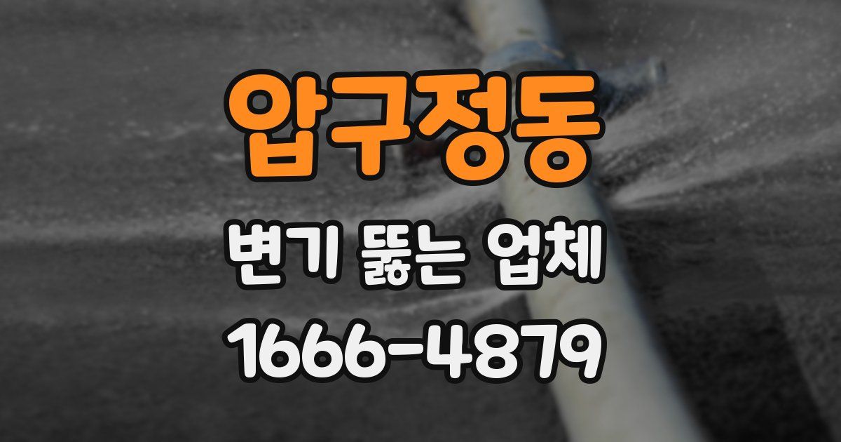 압구정동 변기 뚫는 업체