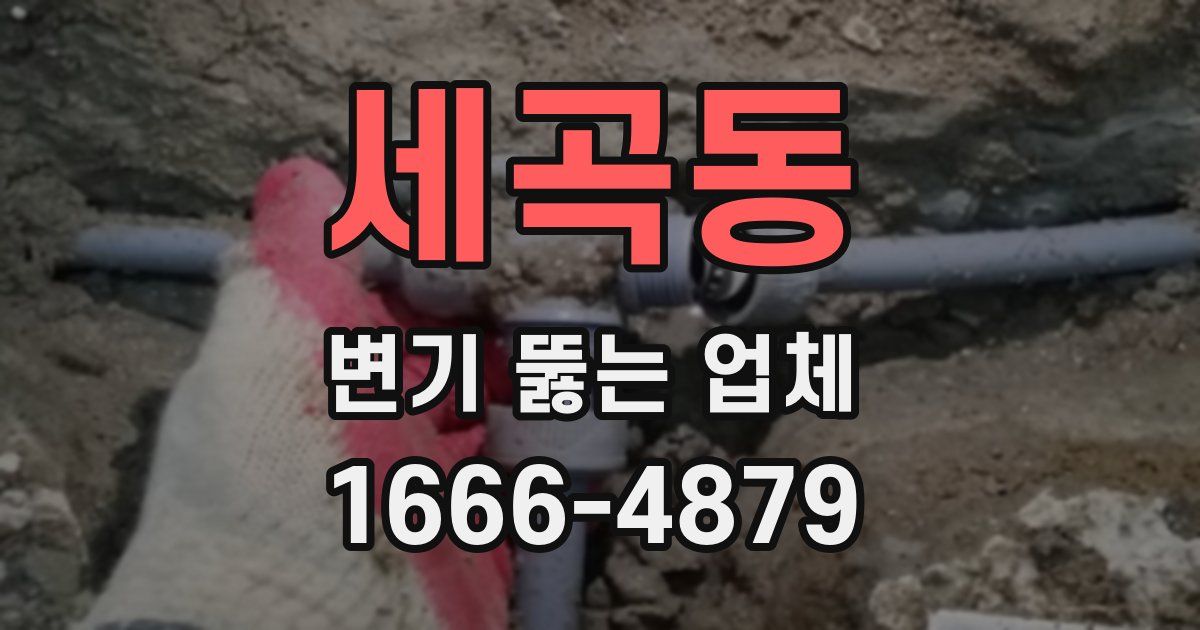 세곡동 변기 뚫는 업체