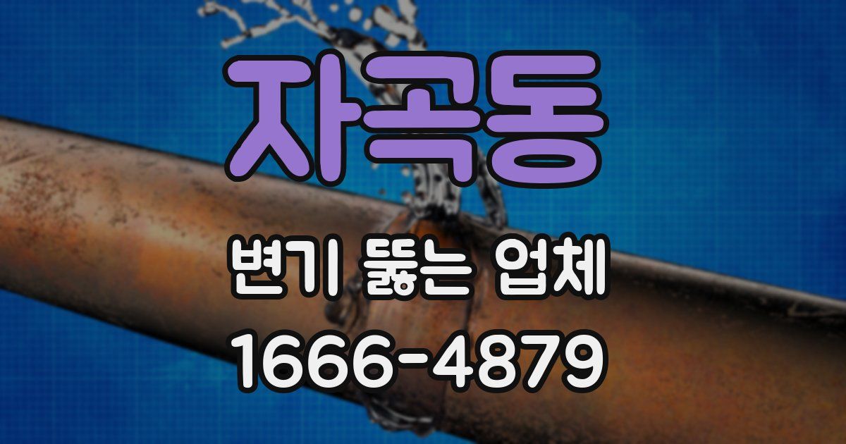 자곡동 변기 뚫는 업체