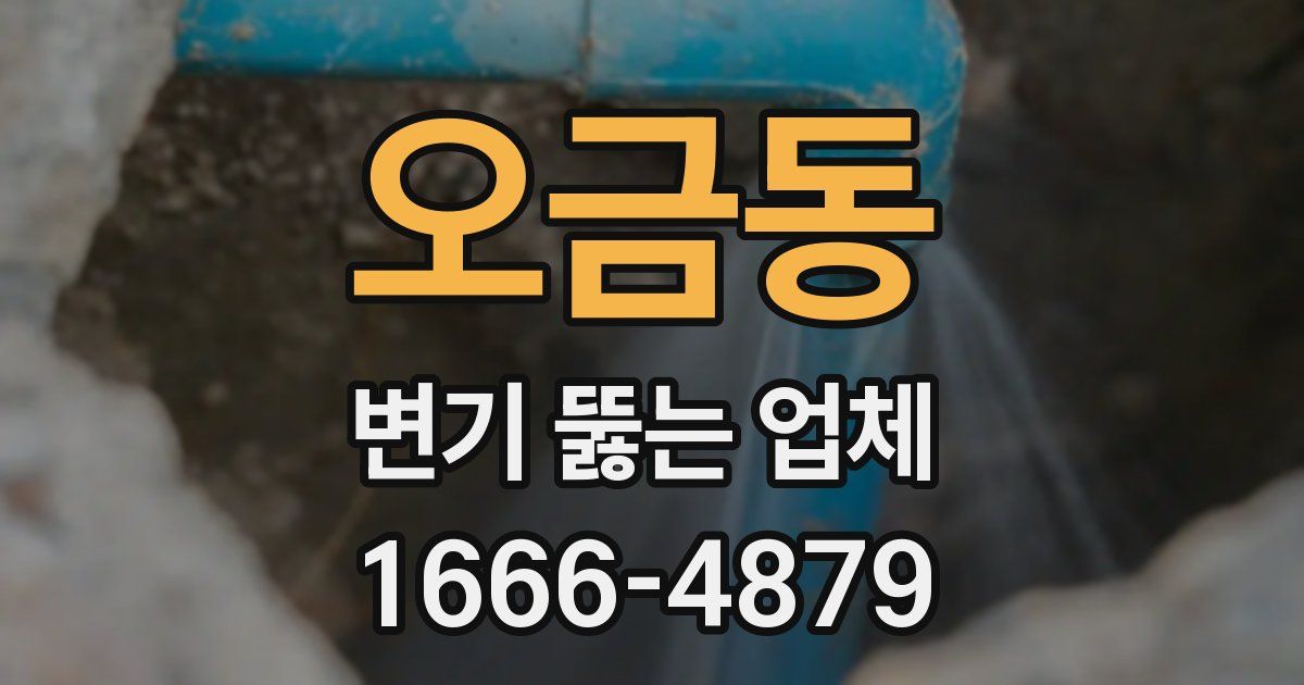 오금동 변기 뚫는 업체