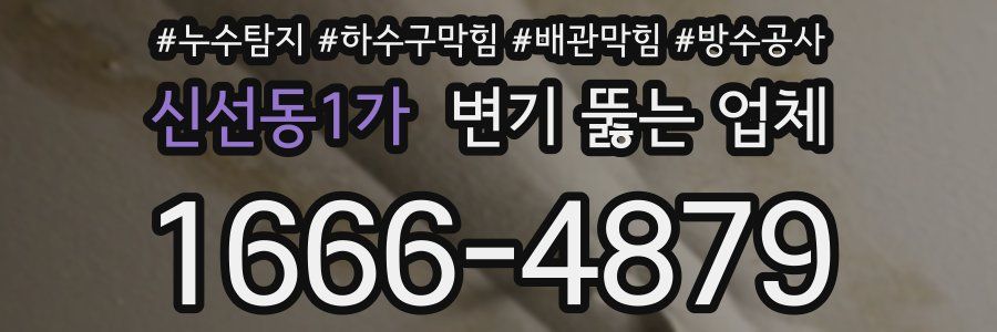 신선동1가 변기 뚫는 업체
