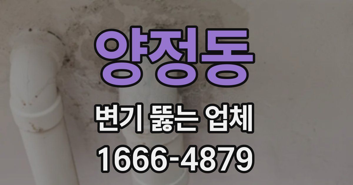 양정동 변기 뚫는 업체