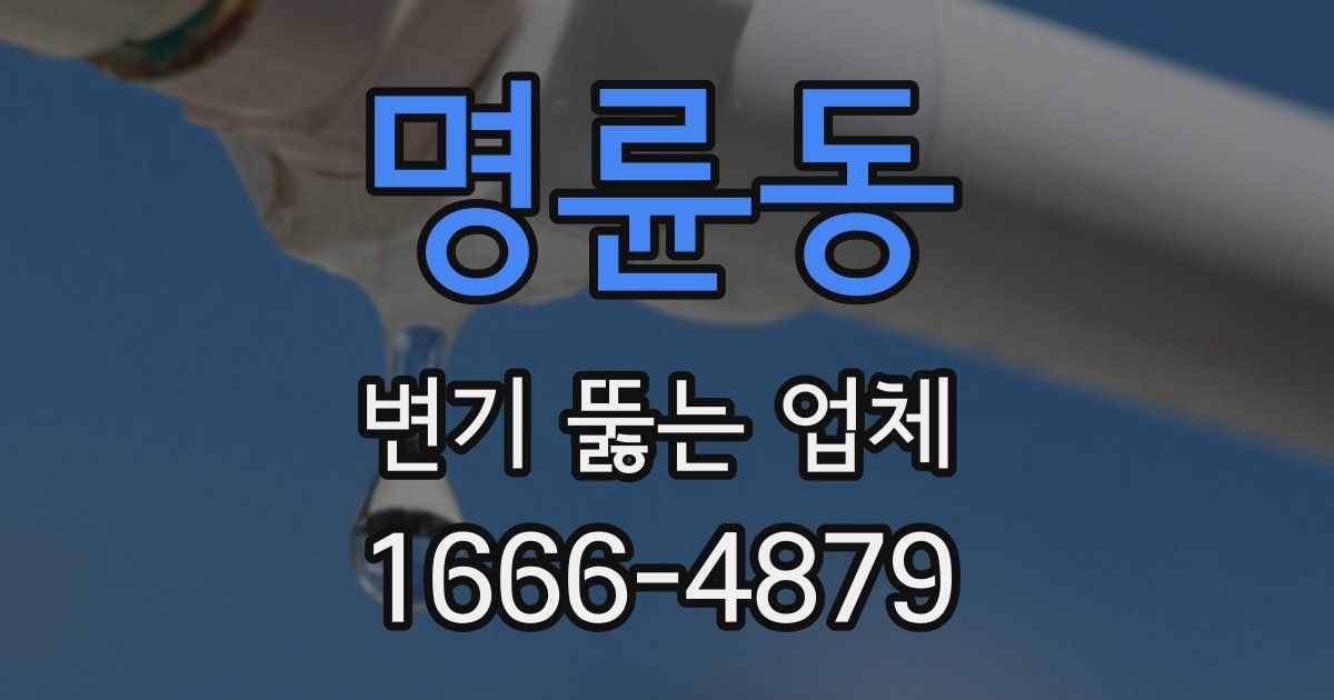 명륜동 변기 뚫는 업체