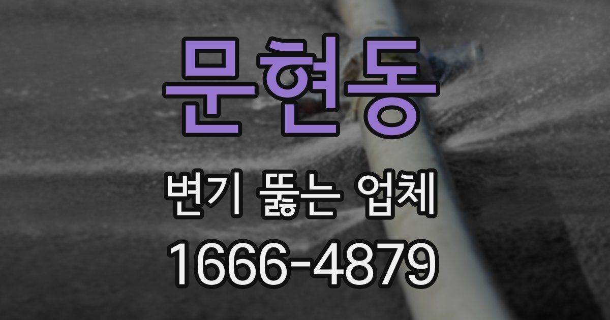 문현동 변기 뚫는 업체
