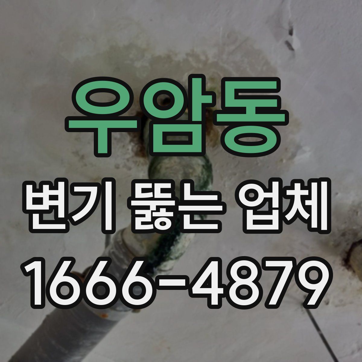 우암동 변기 뚫는 업체