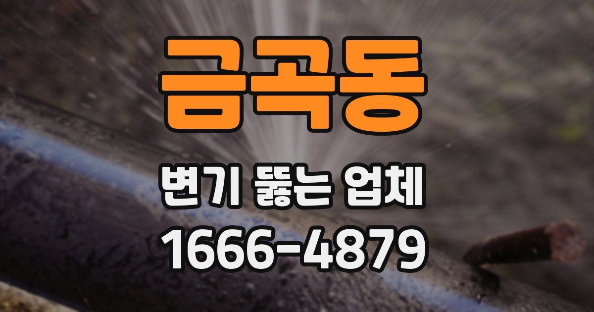 금곡동 변기 뚫는 업체