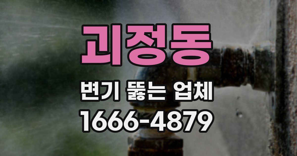 괴정동 변기 뚫는 업체