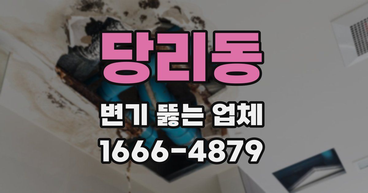 당리동 변기 뚫는 업체