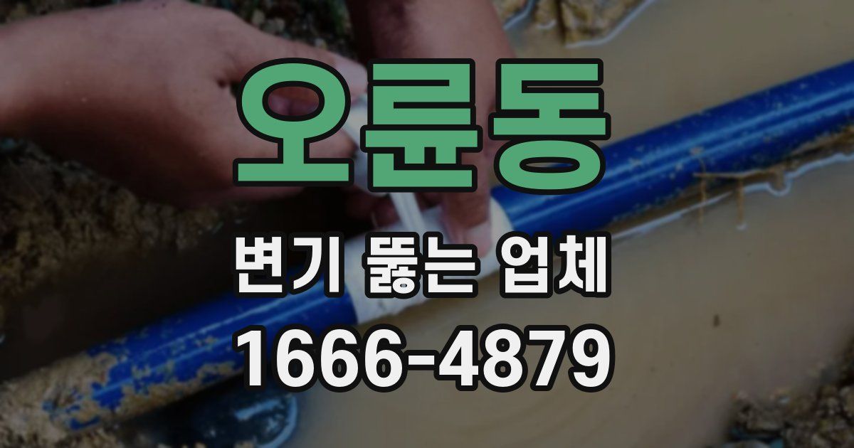 오륜동 변기 뚫는 업체