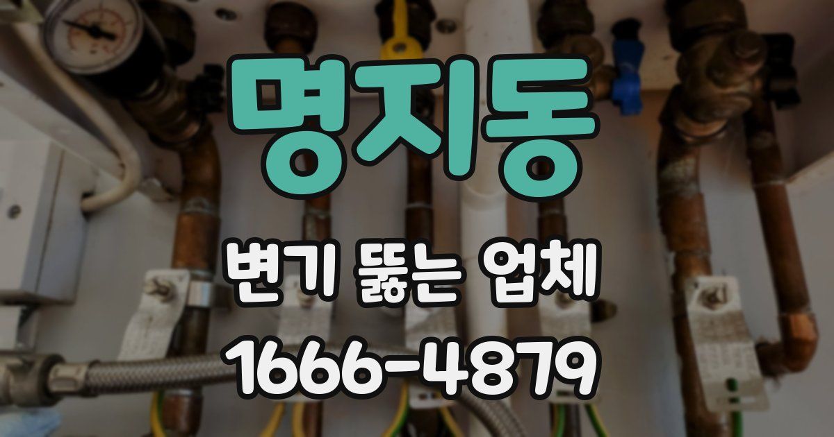 명지동 변기 뚫는 업체