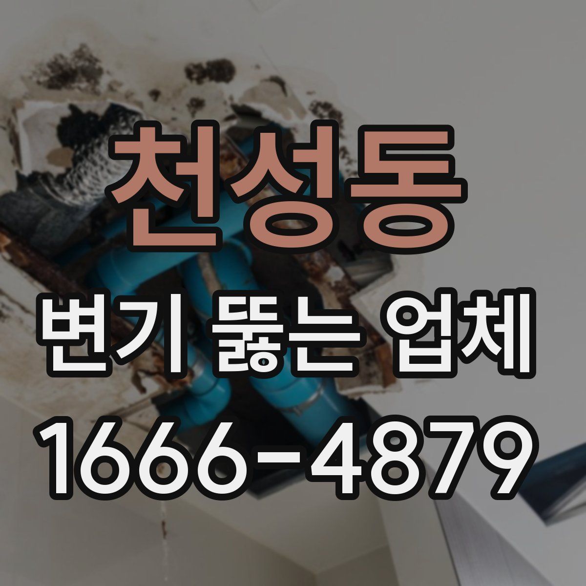 천성동 변기 뚫는 업체