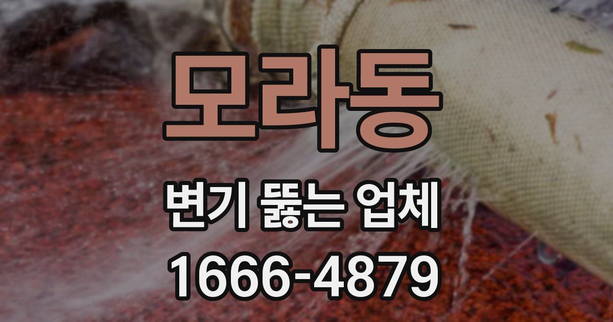 모라동 변기 뚫는 업체
