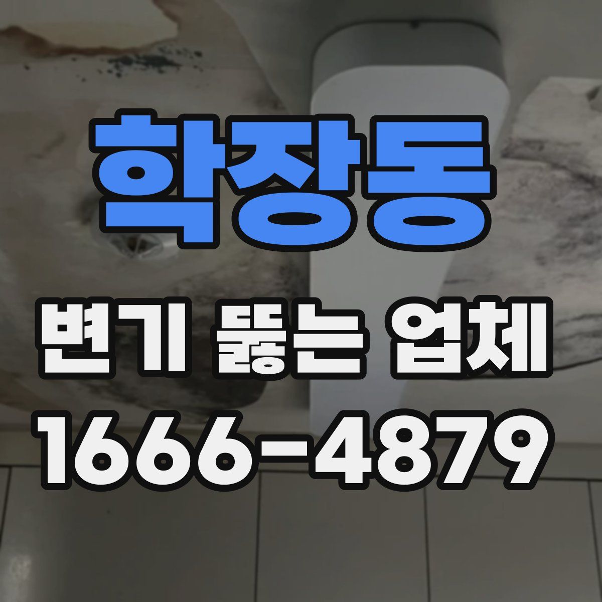 학장동 변기 뚫는 업체