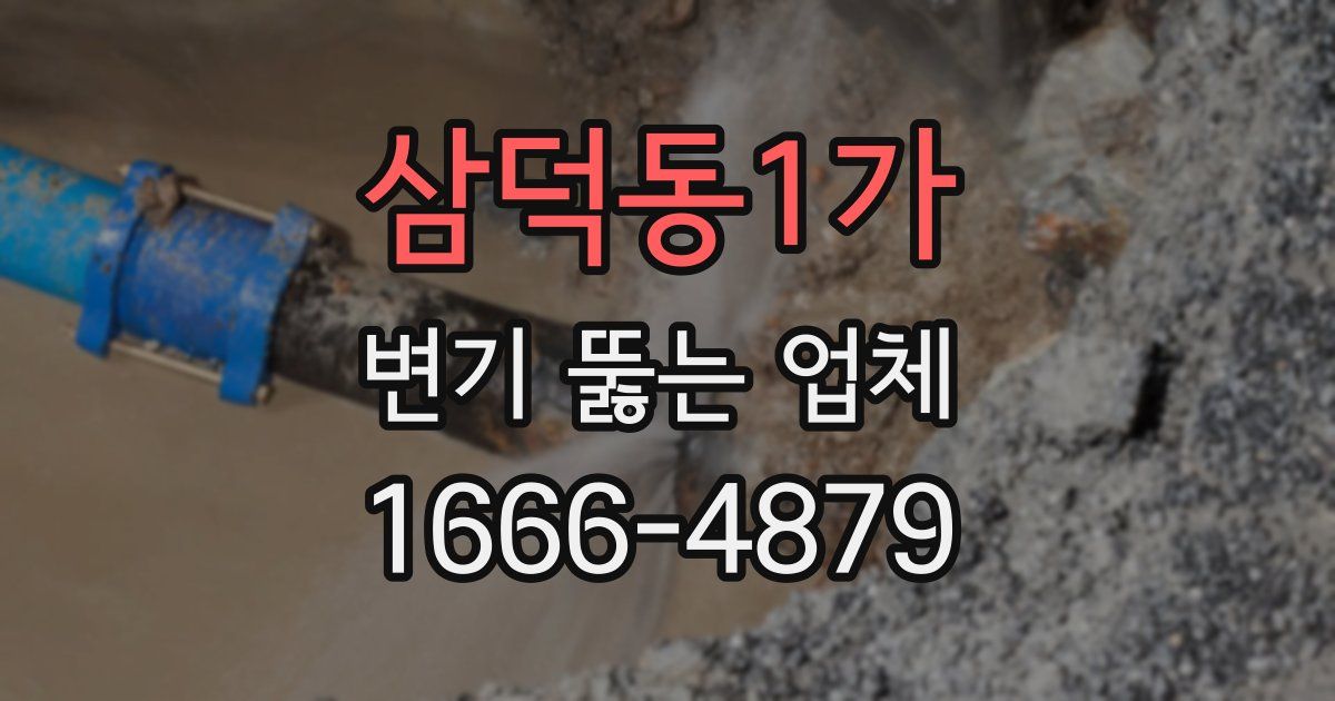 삼덕동1가 변기 뚫는 업체