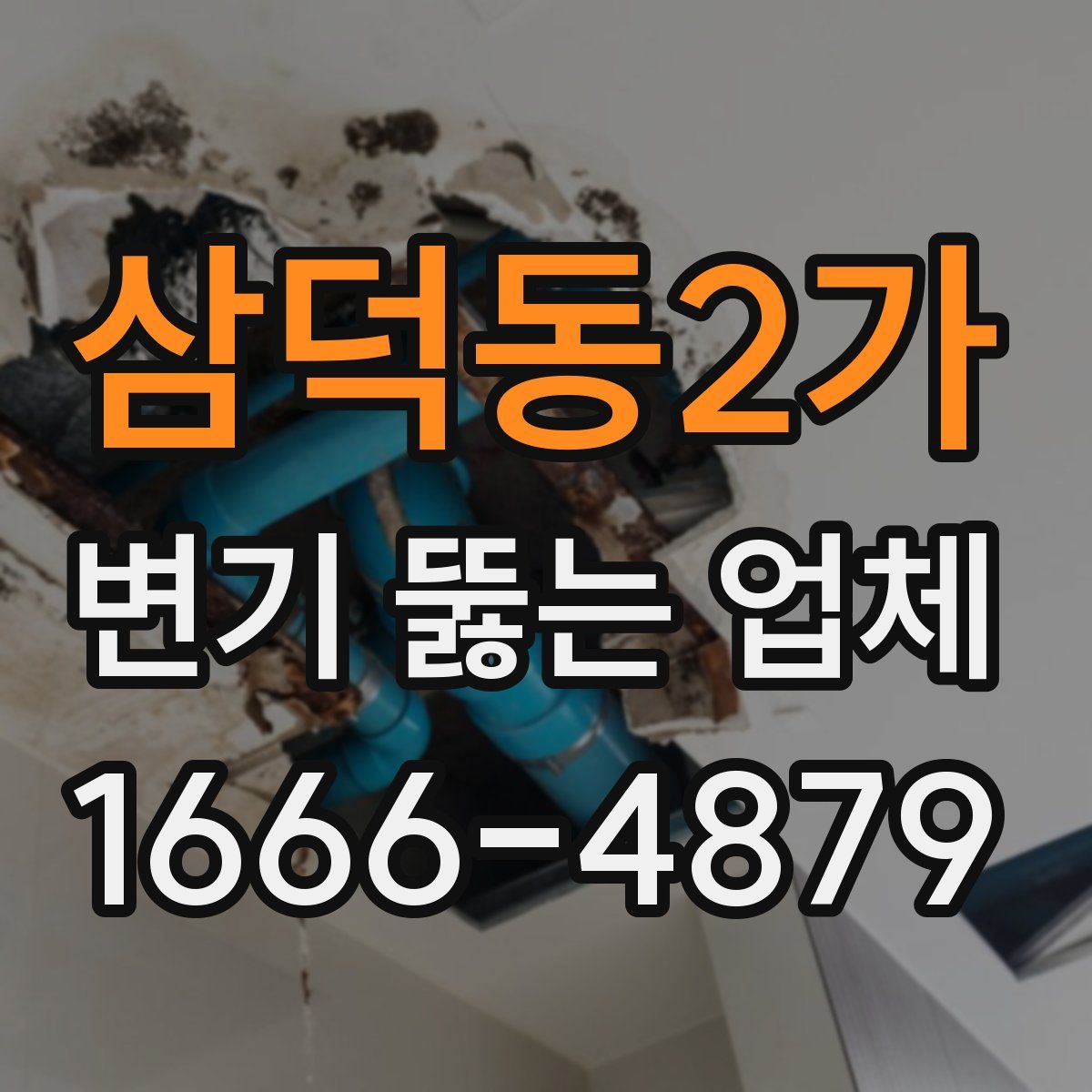 삼덕동2가 변기 뚫는 업체