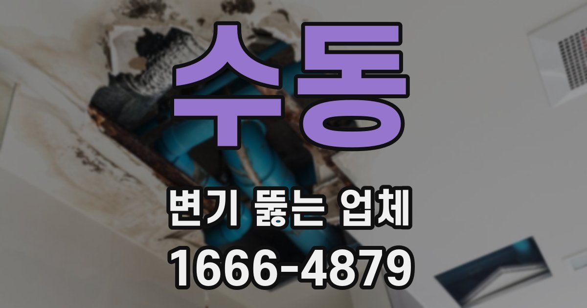수동 변기 뚫는 업체
